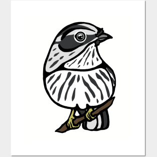 Black and White Warbler Graphic Posters and Art